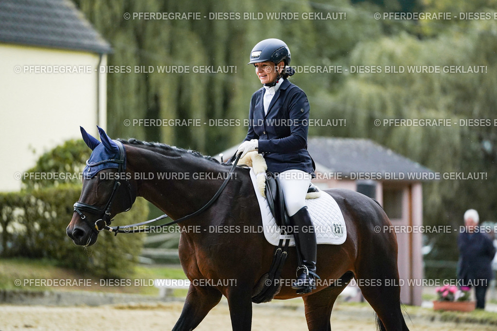 DSC00131 | Pferdegrafie