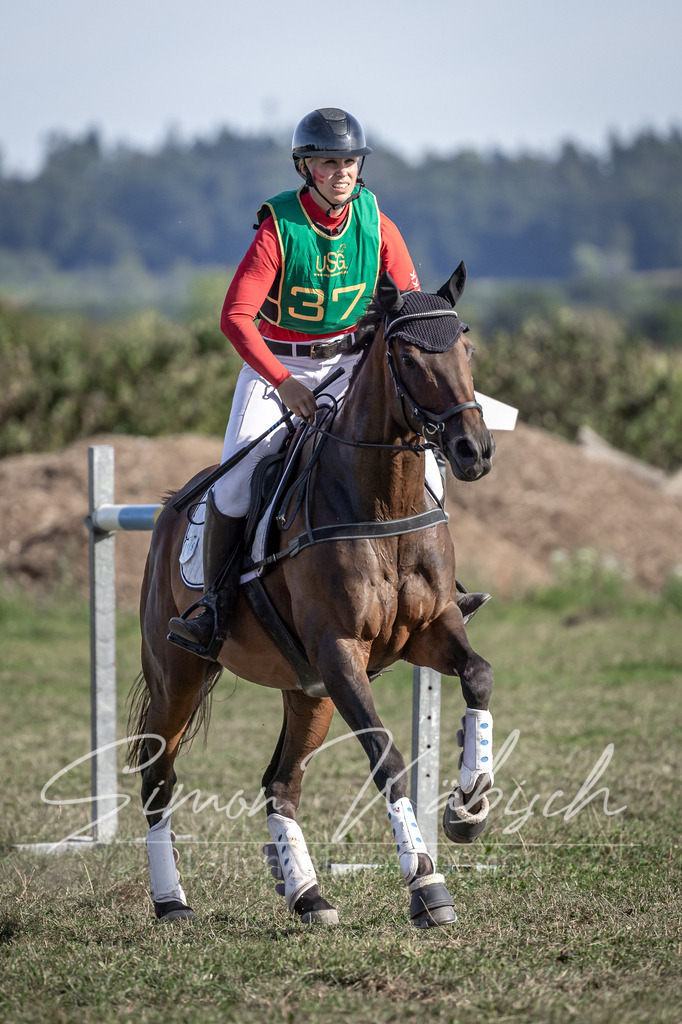 20250907-_3LI3777 | Tierfotografie Pferde, Hunde, Katzen, Haustiere.
Turnierfotografie Reitturniere, Reiten, Springreiten, Dressur in Hanau, dem Main-Kinzig-Kreis und dem Rhein-Main- Gebiet um Frankfurt