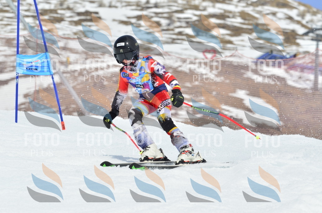 _ELE2847 | holidayphoto