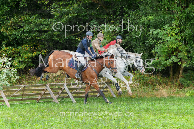 Jagd Perdoel_MarinaHewigMCH04466 | Fotografie, FotoArt, PferdesportArt, Pferdesportfotografie, Landschaftsfotografie, Reisefotografie, Reise, Pferde - Realisiert mit Pictrs.com