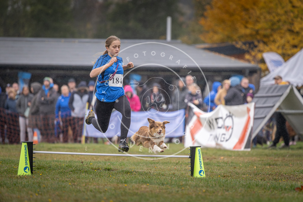Pfotenfotografie_DV3A9709 | Hundefotografie, Tierfotograf, Pfotenfotografie, Fotoshooting Hund, Hunde Portrait, Hundesport, Hundeportraits, Heideshooting, Hunde, Sportfotograf, Hundefotograf, Turnierhundsport, THS,  - Realisiert mit Pictrs.com