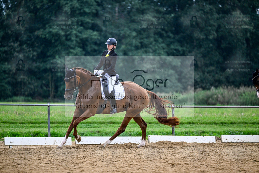 Reitturnier Hasbergen | Entdecke hochwertige Reitturnierfotos von Foto Oger. Professionell, emotional und authentisch – jetzt Lieblingsmomente im Shop bestellen. - Realisiert mit Pictrs.com