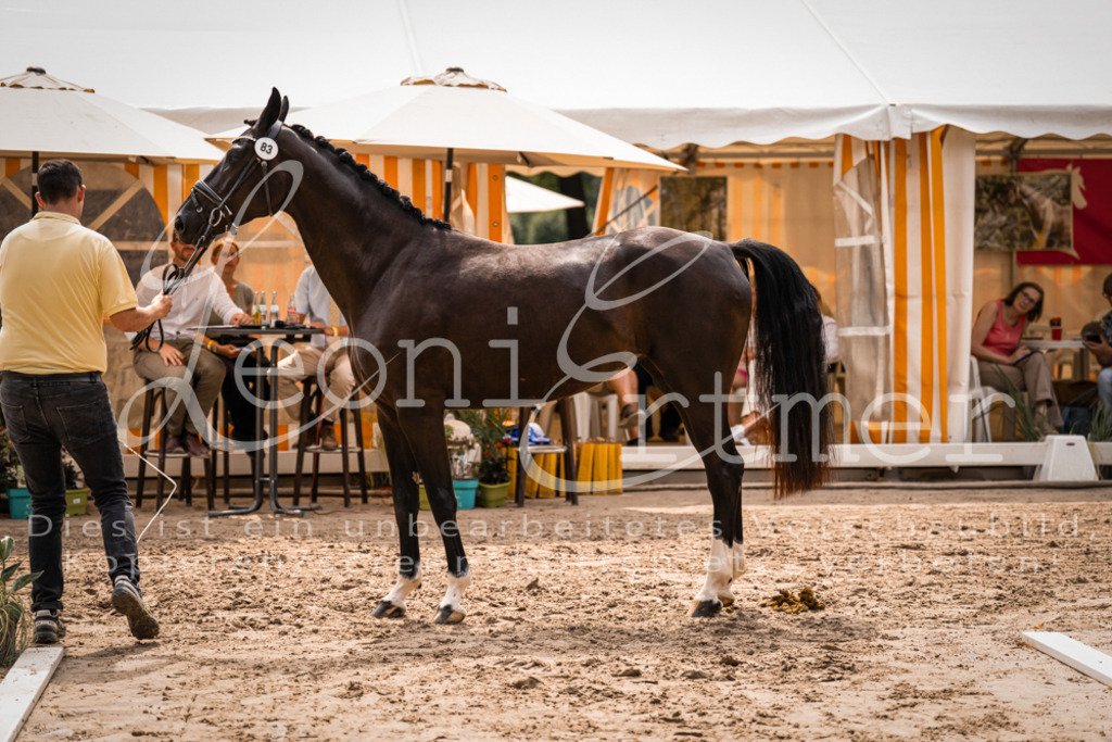 4.Fr00191 | Leoni Ertmer Photography - Realisiert mit Pictrs.com