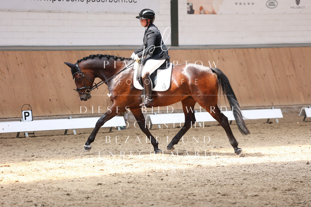 IMGM7853 | pl-fotografie