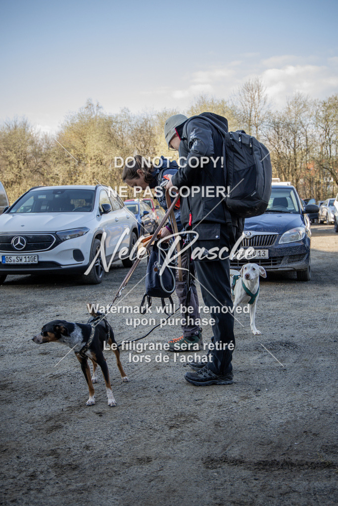 NR__0348-2 | nelerasche
