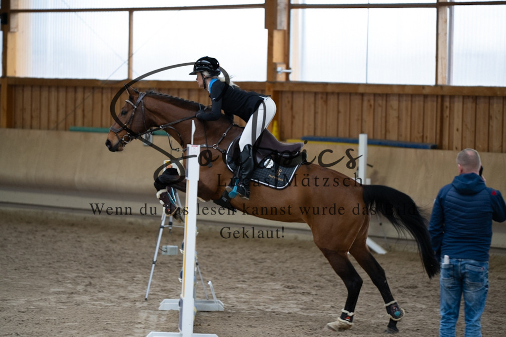 A7V00546 | Pferdefotograf