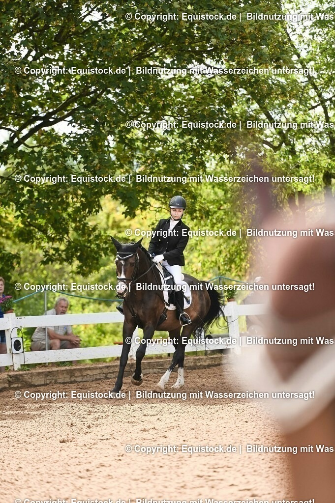 20230716_10-1_Reiter-WB Schritt - Trab - Galopp_0114 | equistock
