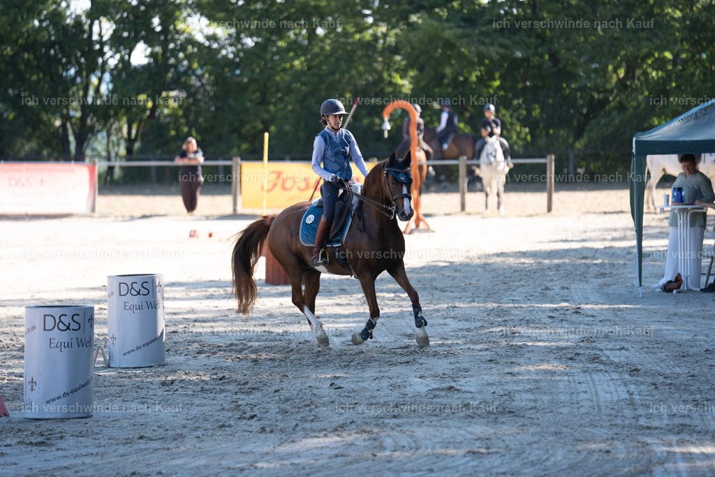 WL_SP_89_SinaFilmArt_IN05693 | working equitationturnier fotograf videograf stoibphotography marixx film working equitation deutschland reitsport turnierfotografie eventfotografie equestrian events