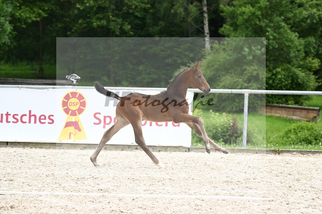 Va Bene x Fidertanz_HF_Koller_20240897 | hf-fotografie - Realizzato con Pictrs.com