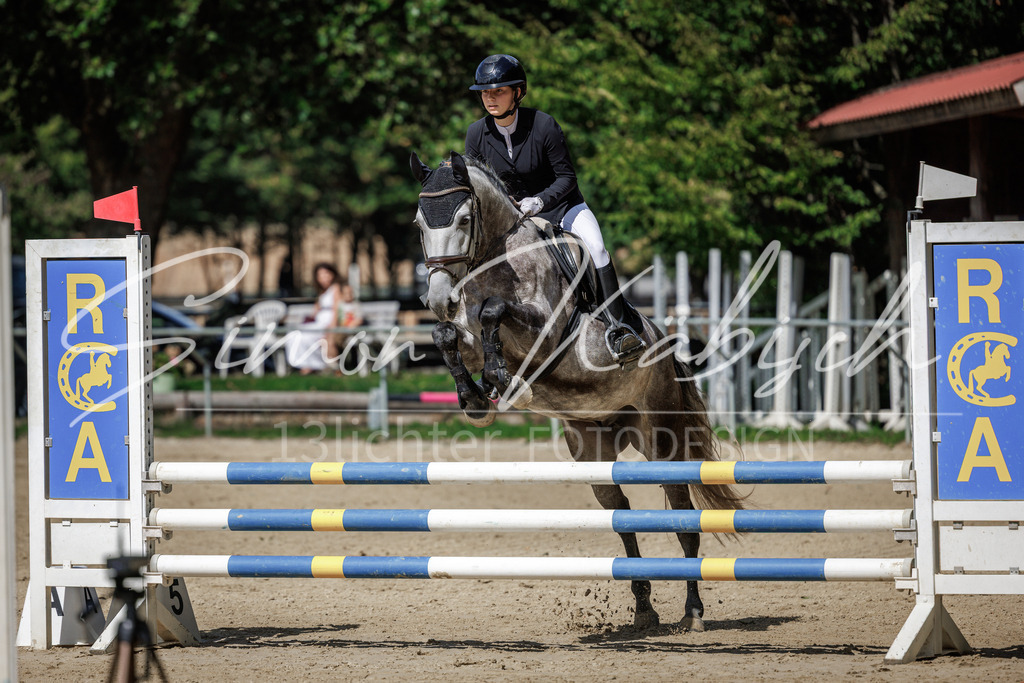 20260905-_3LI8472 | Tierfotografie Pferde, Hunde, Katzen, Haustiere.
Turnierfotografie Reitturniere, Reiten, Springreiten, Dressur in Hanau, dem Main-Kinzig-Kreis und dem Rhein-Main- Gebiet um Frankfurt