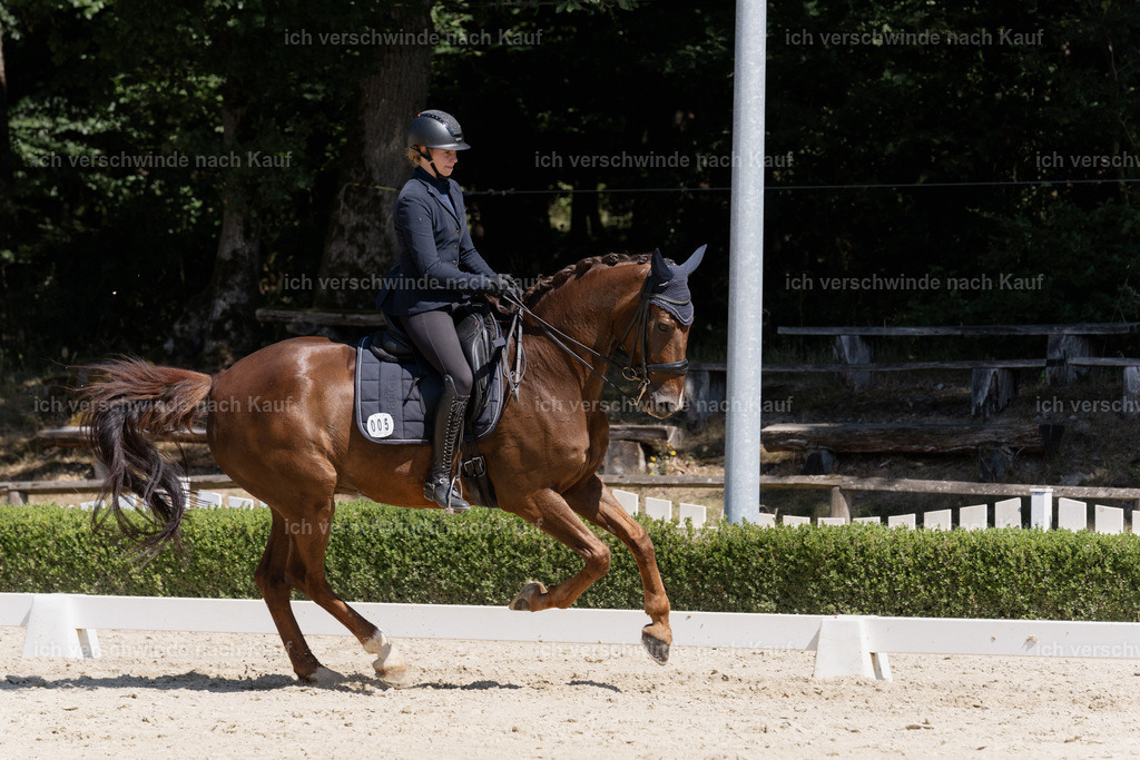 WS_DR_5_sinafilmart_IN09598 | working equitationturnier fotograf videograf stoibphotography marixx film working equitation deutschland reitsport turnierfotografie eventfotografie equestrian events