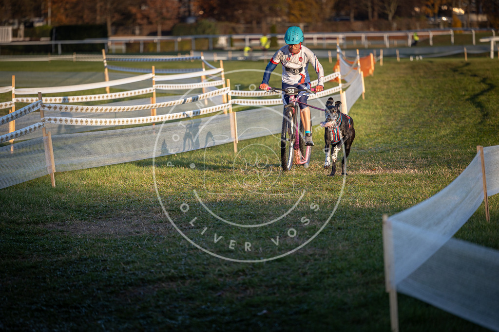 CaniXpix_0L8A2295 | Hundefotografie, Tierfotograf, Pfotenfotografie, Fotoshooting Hund, Hunde Portrait, Hundesport, Hundeportraits, Heideshooting, Hunde, Sportfotograf, Hundefotograf, Turnierhundsport, THS,  - Realisiert mit Pictrs.com