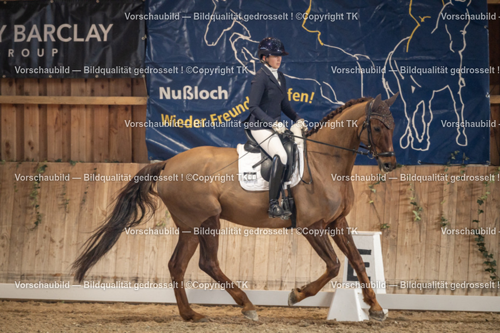 _D5A1195 | Emotionale Pferde- & People-Fotografie rund um Heidelberg, Leimen & Umgebung. Natürliche Fotos von Pferd, Mensch & Familie. Jetzt Termin sichern!