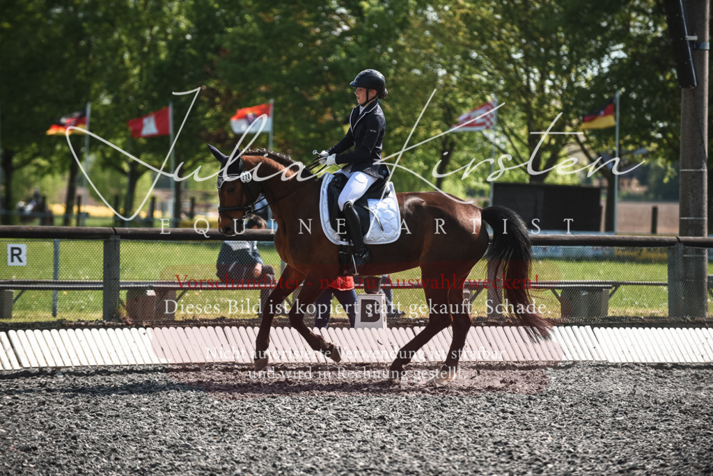 DSC_8890 | Pferde- und Turnierfotografie in Westsachsen. Pferdeportraits, Auftragszeichnungen und intuitive Kunst.