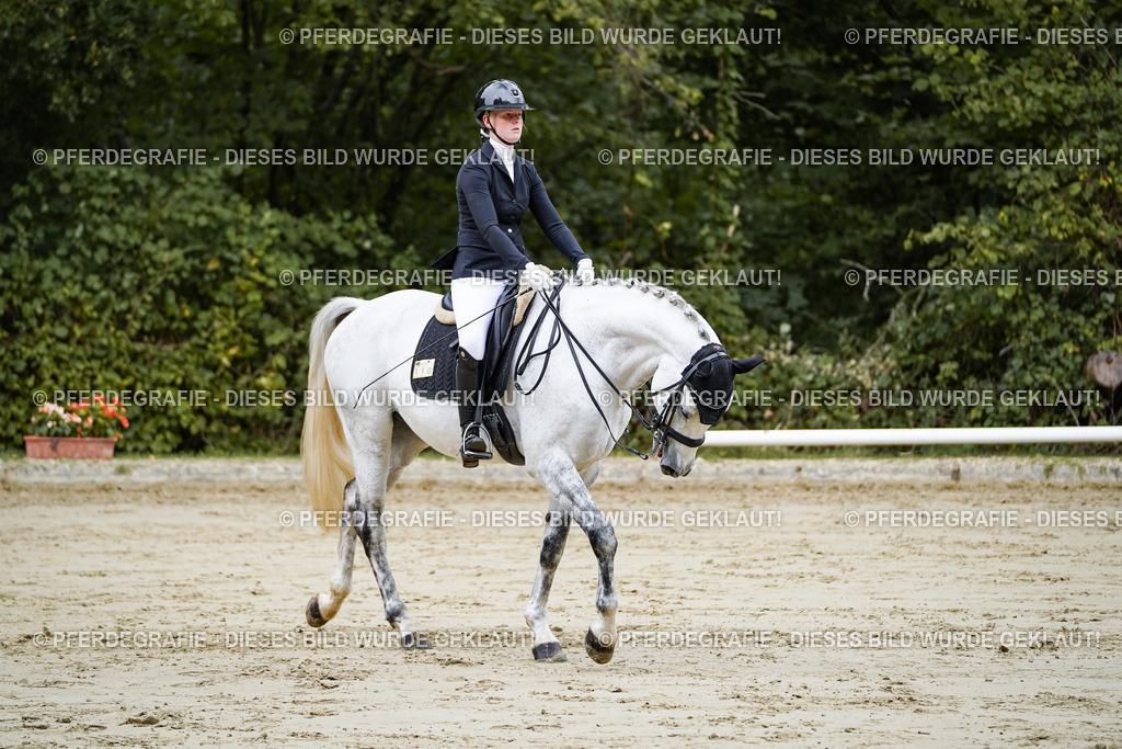 DSC08545 | Pferdegrafie