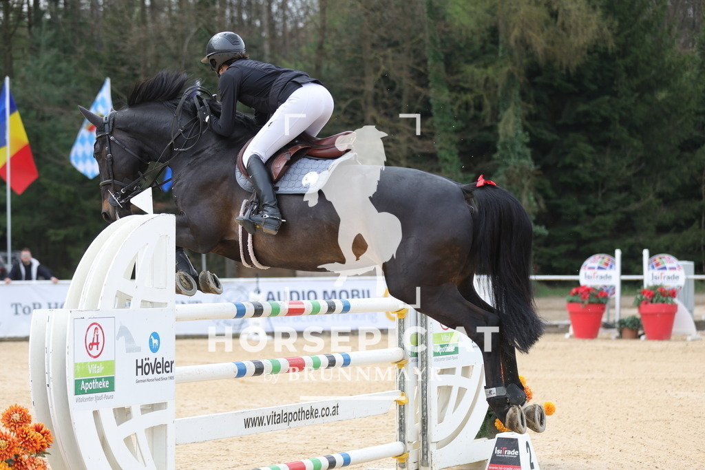 0P6A5325 | Willkommen bei Brunnmayr - Design & Fotografie – Ihrem Spezialisten für Reitturniere und Pferdeveranstaltungen in Oberösterreich, Salzburg und Bayern! Seit über 17 Jahren sind wir leidenschaftlich dabei.