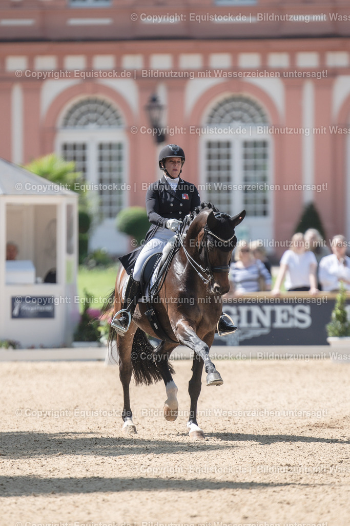 20230528_03_GP-Special-Tour_0025 | equistock