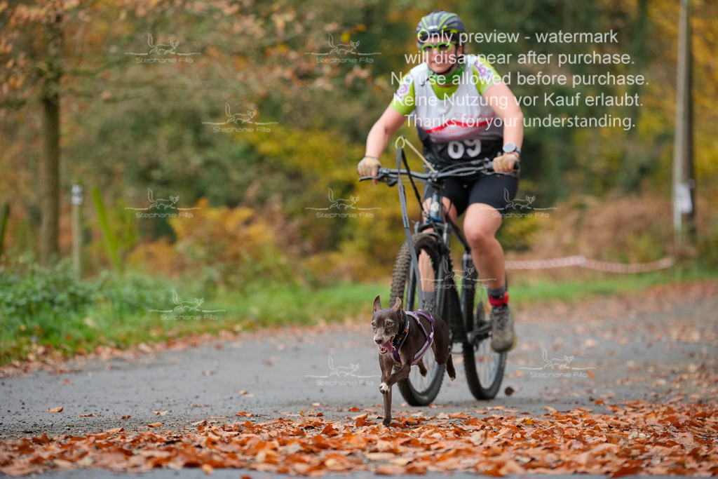 Bike_So-194 | stephaniefillaphotographie - Realisiert mit Pictrs.com