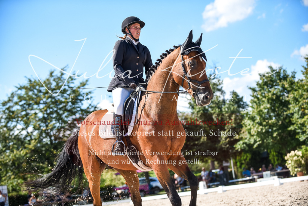 DSC_9684 | Pferde- und Turnierfotografie in Westsachsen. Pferdeportraits, Auftragszeichnungen und intuitive Kunst.
