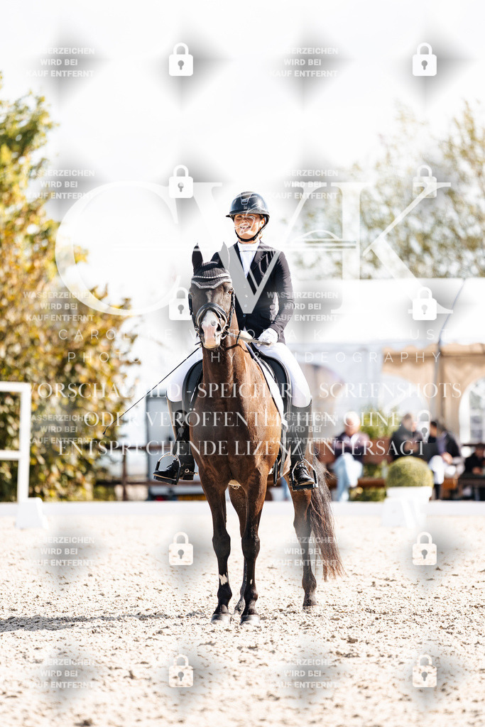 CK902082 | Turnierfotografie Pferdefotografie Trier Rheinland-Pfalz Pferdesport Reitsport Tierfotografie Sportfotografie Pferdevideo Pferdevideografie Equestrianvideography equestrianphotography  - Realisiert mit Pictrs.com