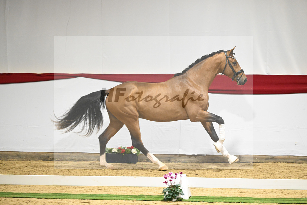 Kat-Nr. 54 v. Vaderland_Rakelbusch_63221580 | hf-fotografie - Realizzato con Pictrs.com