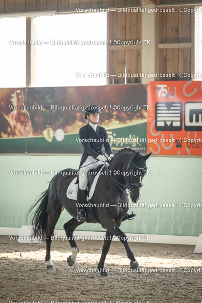 _D5A2085 | Emotionale Pferde- & People-Fotografie rund um Heidelberg, Leimen & Umgebung. Natürliche Fotos von Pferd, Mensch & Familie. Jetzt Termin sichern!