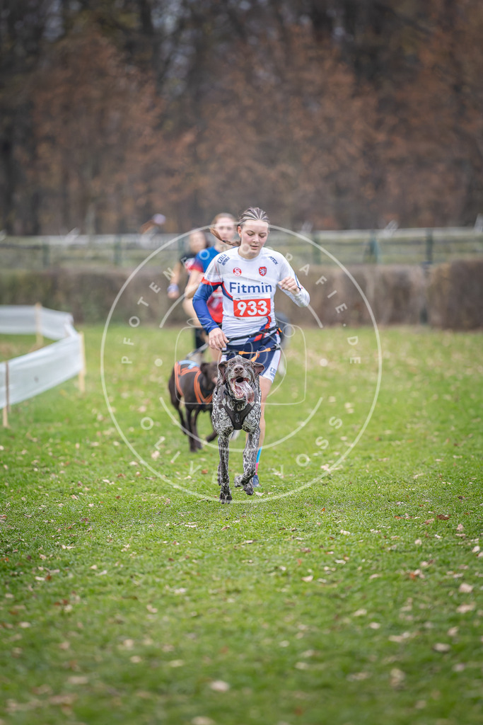 CaniXpix_DV3A7154 | Hundefotografie, Tierfotograf, Pfotenfotografie, Fotoshooting Hund, Hunde Portrait, Hundesport, Hundeportraits, Heideshooting, Hunde, Sportfotograf, Hundefotograf, Turnierhundsport, THS,  - Realisiert mit Pictrs.com