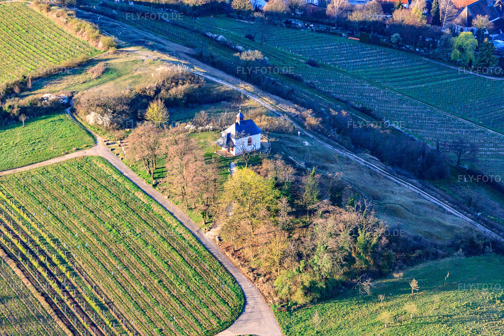 Luftbild: Kleine Kalmit und Kappelle im Winter aus Norden im Ortsteil Arzheim in Landau im Bundesland Rheinland-Pfalz in Deutschland. Foto: IMG_63151.jpg vom 20.03.2014 durch Werner Riehm/FLY-FOTO.de