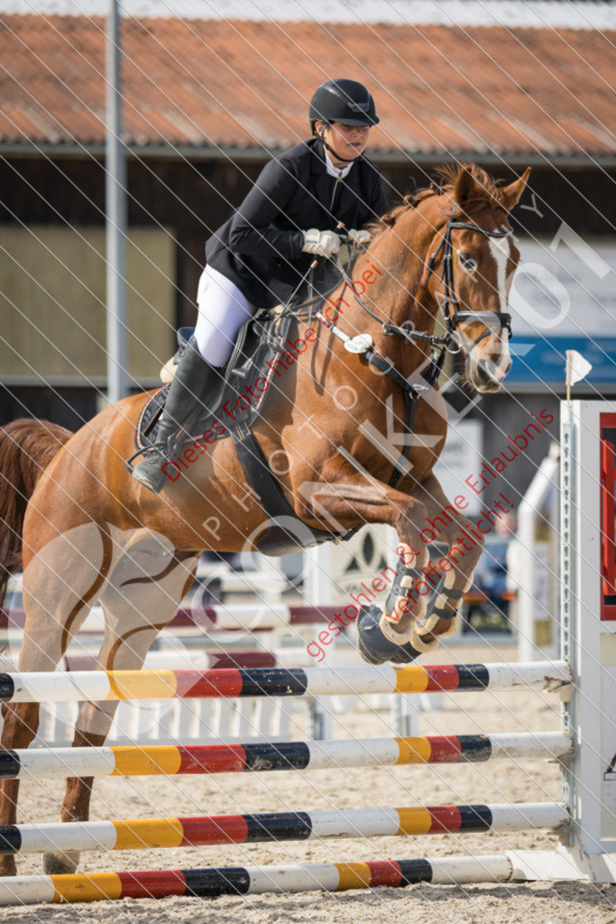 IMG_4208 | Sport-, Event- und Tierfotos in Profiqualität. Einfach auswählen, bestellen und herunterladen. Dein Moment – perfekt festgehalten.