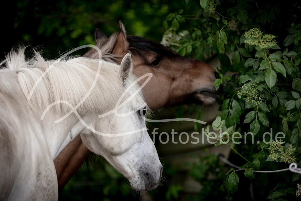 846A0476 | fotosleben - Realisiert mit Pictrs.com