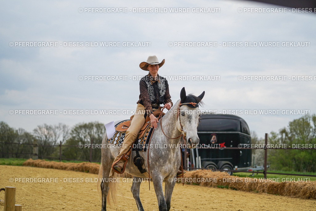 DSC07373 | Pferdegrafie