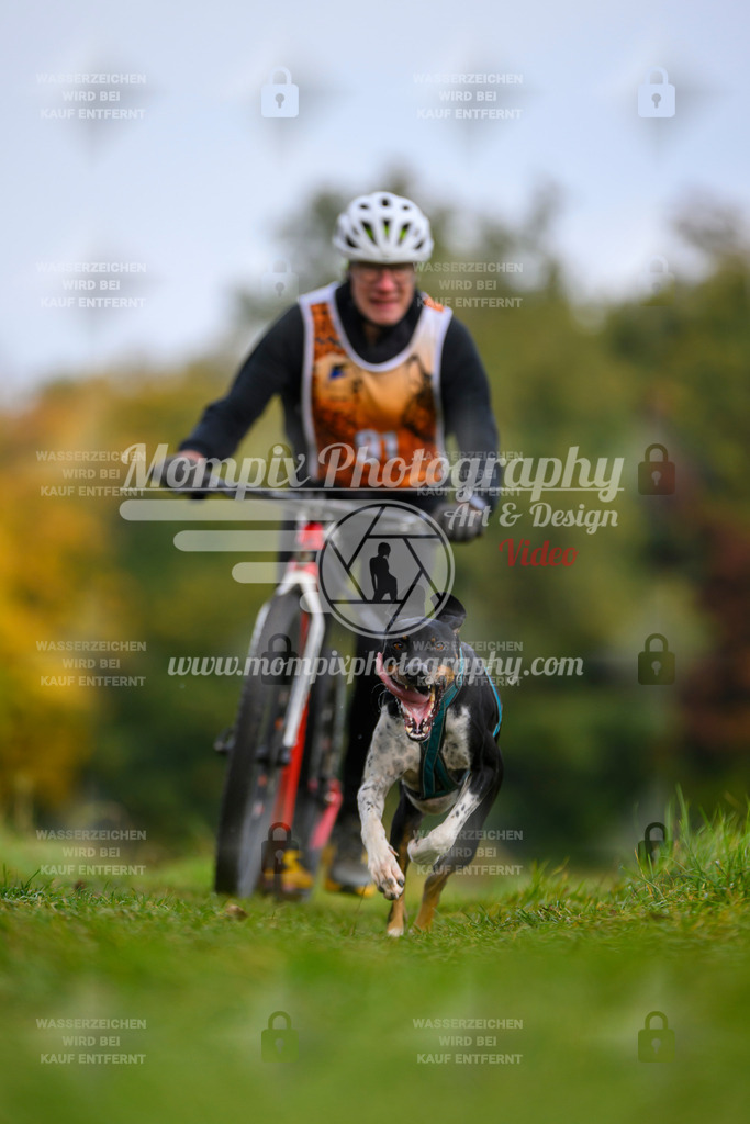 MompixPhotography_CDLBDB2025_DI_DS-57 | PayLife