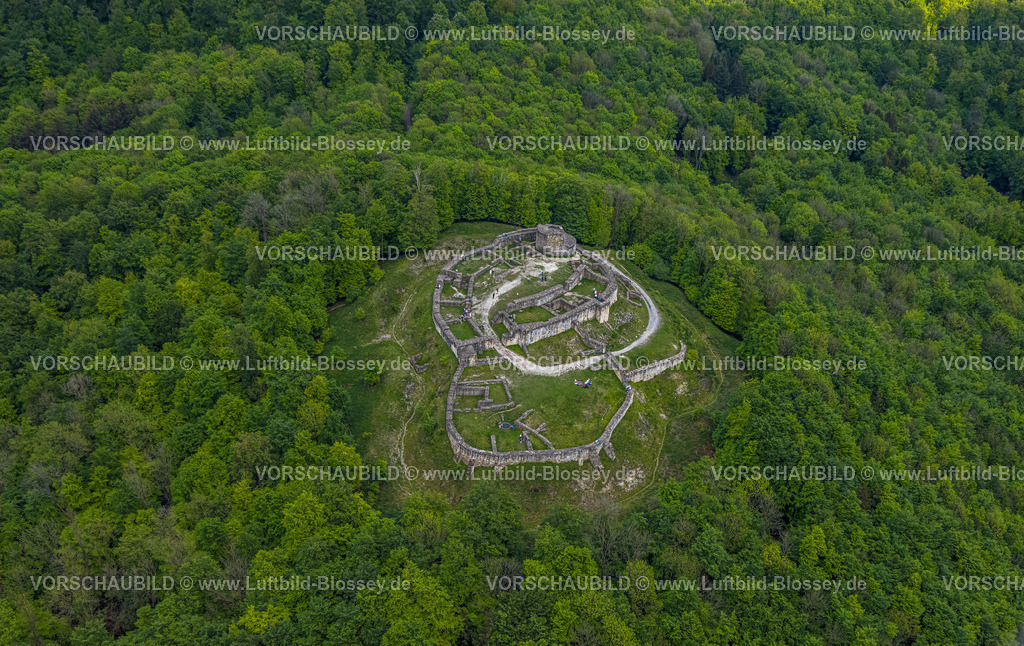 Detmold240505757Falkenburg_Teuto | Luftbild, Ruine Falkenburg und Burganlage an den Hermannshöhen, Höhenburg und historische Sehenswürdigkeit, Teutoburger Wald, Hahnberg, Detmold, Ostwestfalen, Nordrhein-Westfalen, Deutschland