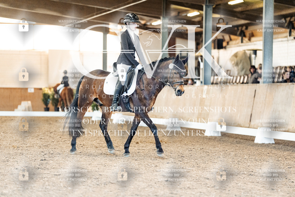 CK908052 | Turnierfotografie Pferdefotografie Trier Rheinland-Pfalz Pferdesport Reitsport Tierfotografie Sportfotografie Pferdevideo Pferdevideografie Equestrianvideography equestrianphotography  - Realized with Pictrs.com