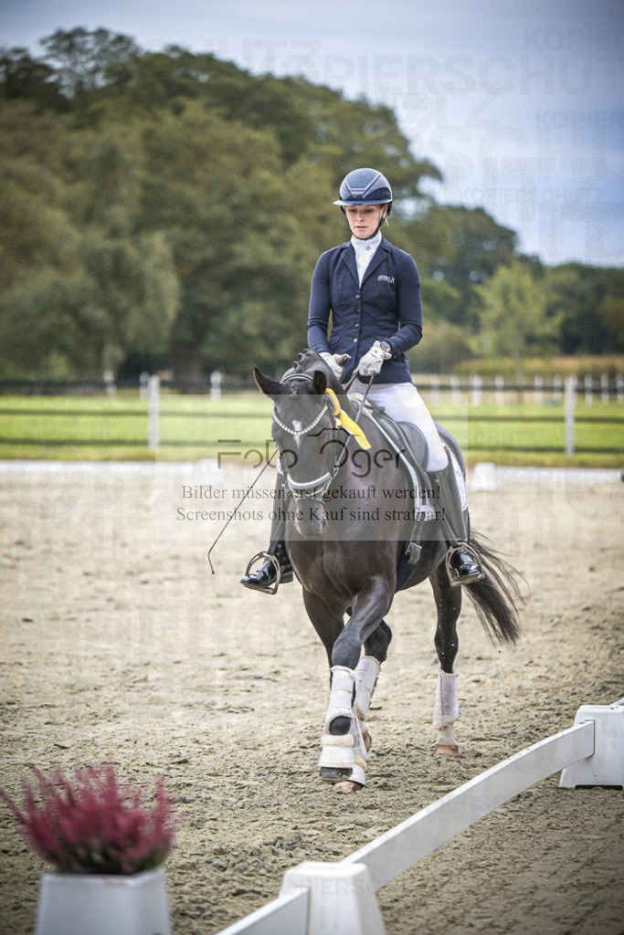 DOS_0056 | Entdecke hochwertige Reitturnierfotos von Foto Oger. Professionell, emotional und authentisch – jetzt Lieblingsmomente im Shop bestellen.Deutschlandweite Turnierfotografie. - Realisiert mit Pictrs.com