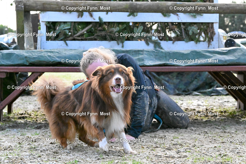 DSC_3497 | Hallo und herzlich Willkommen auf meiner Shop-Seite Fynn Most.

Ich wünsche Dir viel Spaß beim stöbern durch die Bilder, wenn Du Fragen hast oder Bilder vermisst, kannst du mir gerne eine Nachricht schreiben. - Realisiert mit Pictrs.com