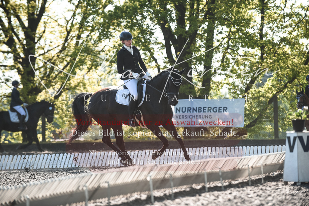 DSC_8391 | Pferde- und Turnierfotografie in Westsachsen. Pferdeportraits, Auftragszeichnungen und intuitive Kunst.