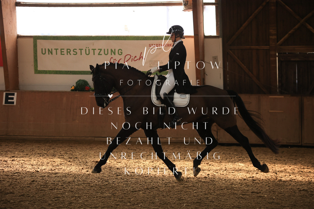 IMGT5256 | pl-fotografie