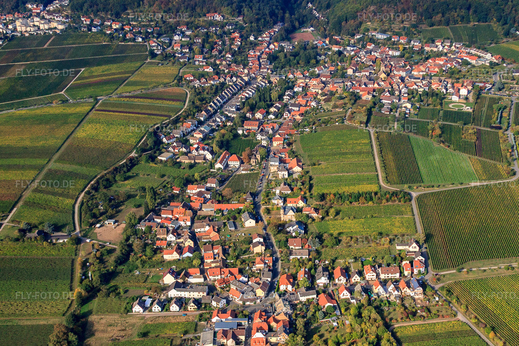 Luftbild: Kurpfalzstraße Loblocher Straße im Ortsteil Mußbach in Neustadt im Bundesland Rheinland-Pfalz in Deutschland. Foto: IMG_22047.jpg vom 15.10.2009 durch Werner Riehm/FLY-FOTO.de