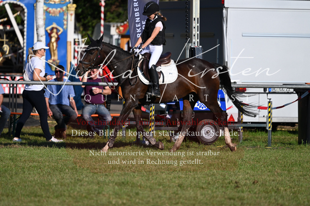 DSC_4670 | Pferde- und Turnierfotografie in Westsachsen. Pferdeportraits, Auftragszeichnungen und intuitive Kunst.