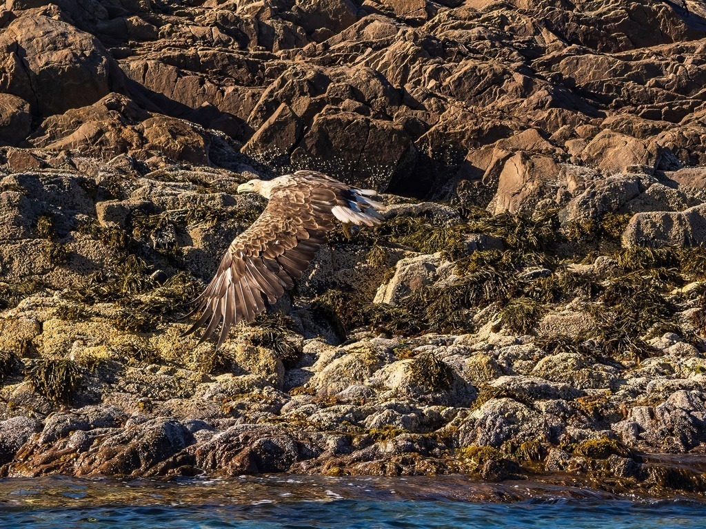 P1001649-LR-topaz-denoise-enhance | Natur im Moment - Realisiert mit Pictrs.com