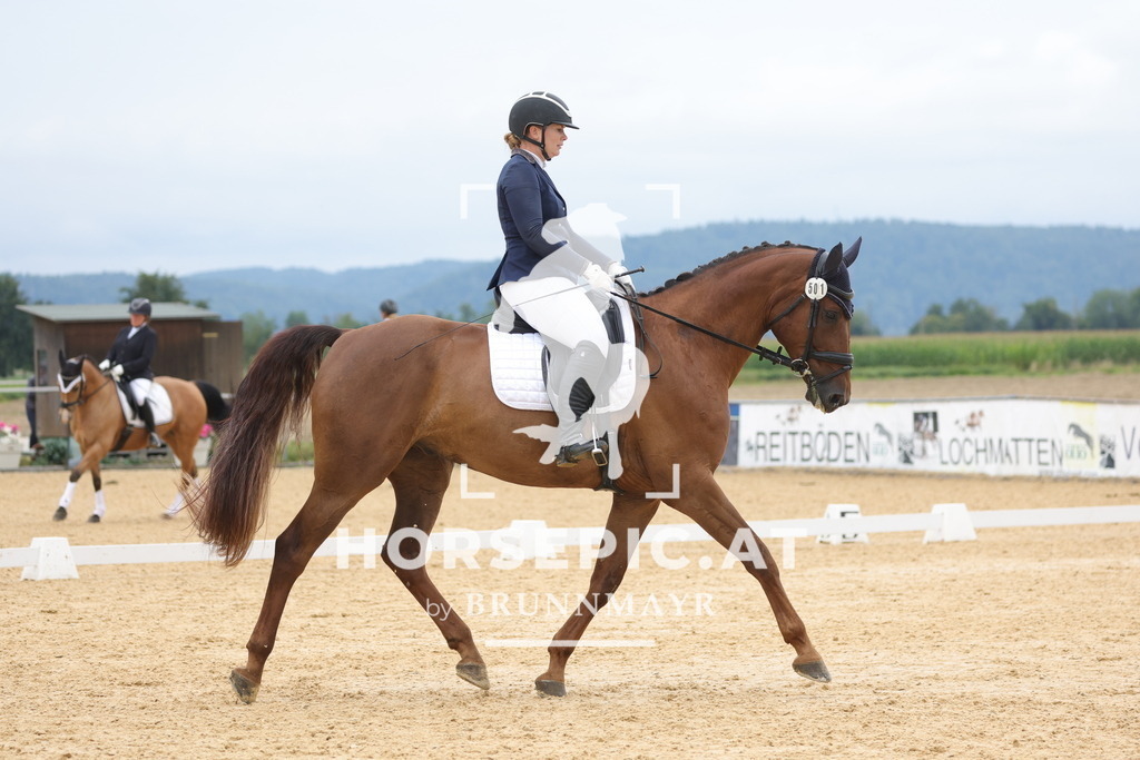 0P6A8763 | Willkommen bei Brunnmayr - Design & Fotografie – Ihrem Spezialisten für Reitturniere und Pferdeveranstaltungen in Oberösterreich, Salzburg und Bayern! Seit über 17 Jahren sind wir leidenschaftlich dabei.