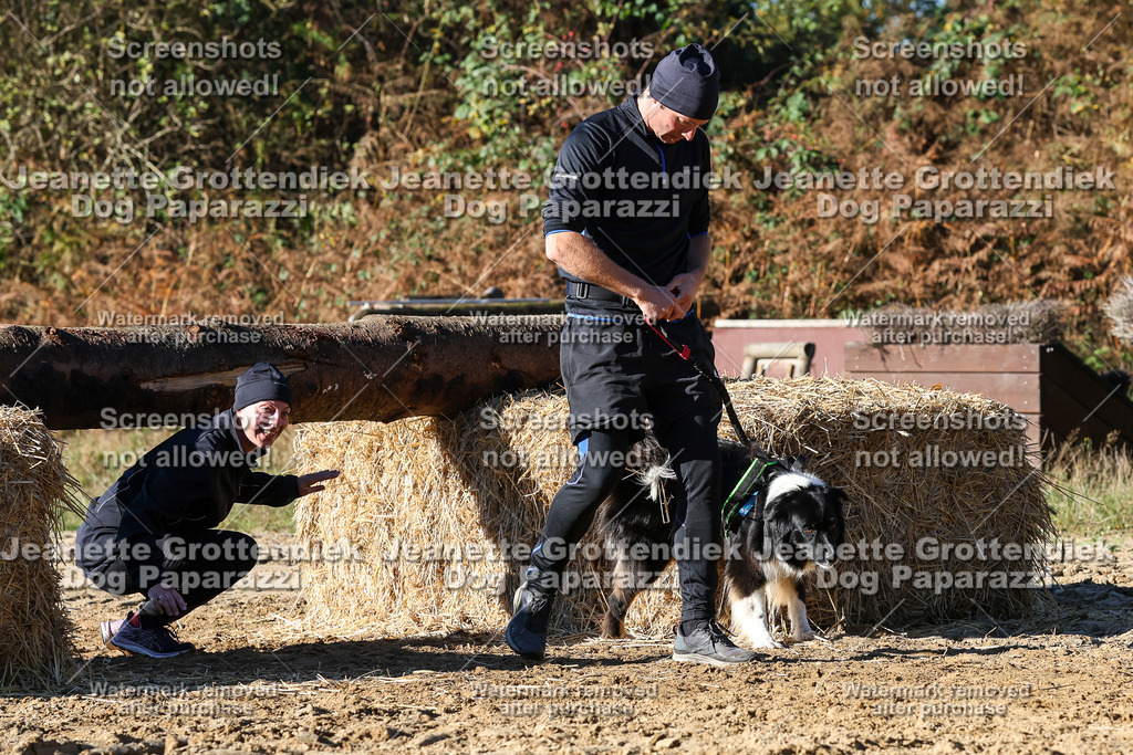 Dog Paparazzi - Strongdog 10-25-2104 | Dog Paparazzi Jeanette Grottendiek Fotografie & Videografie