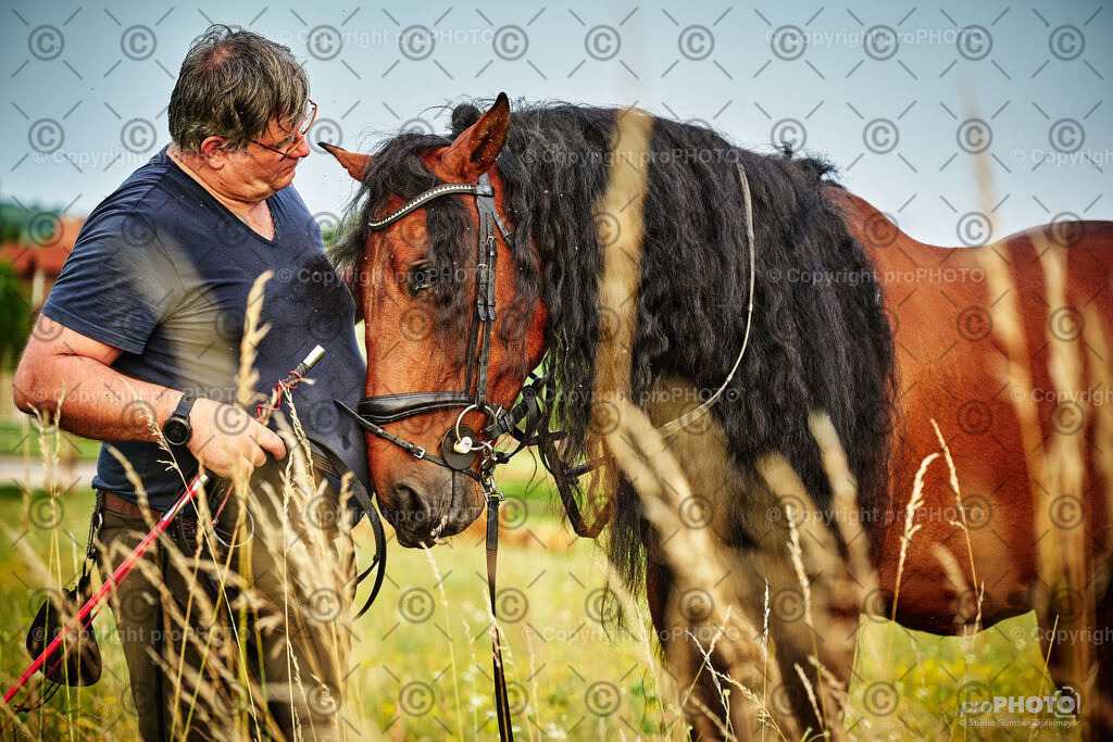 115_202406_Niki-Herodes_NZ9_9884 | proPHOTO - Realisiert mit Pictrs.com