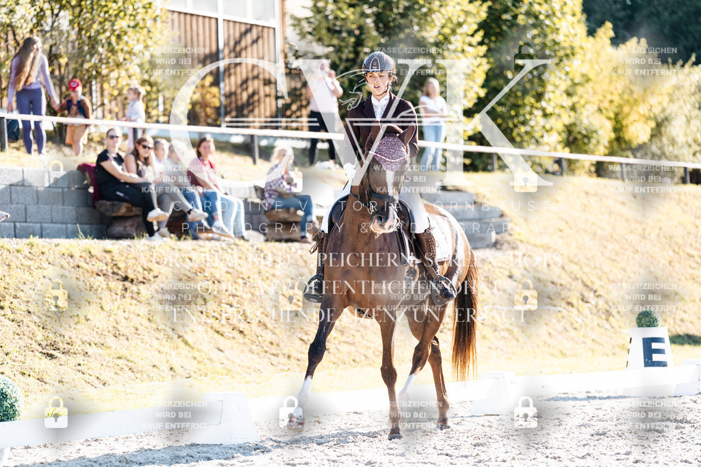 CK906566 | Turnierfotografie Pferdefotografie Trier Rheinland-Pfalz Pferdesport Reitsport Tierfotografie Sportfotografie Pferdevideo Pferdevideografie Equestrianvideography equestrianphotography  - Realisiert mit Pictrs.com