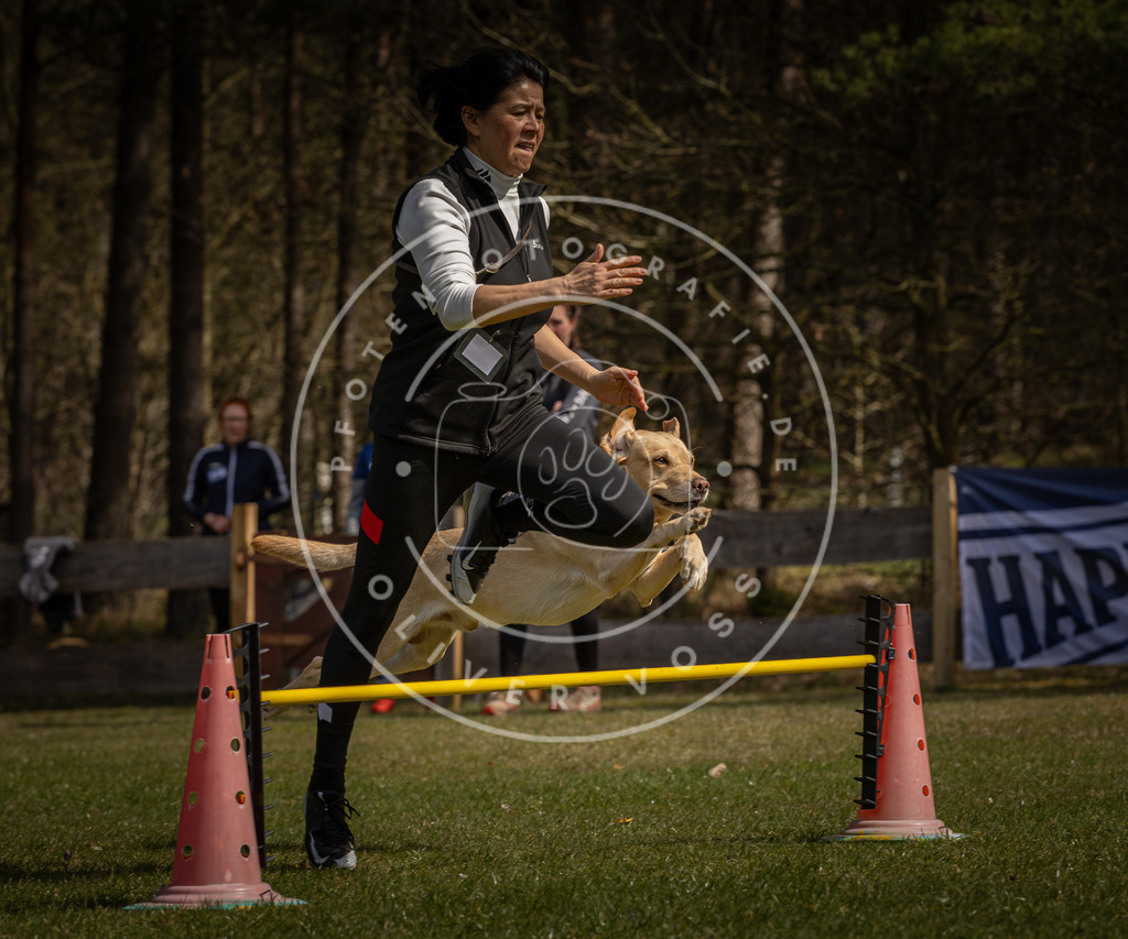 Pfotenfotografie_DV3A3516 | Hundefotografie, Tierfotograf, Pfotenfotografie, Fotoshooting Hund, Hunde Portrait, Hundesport, Hundeportraits, Heideshooting, Hunde, Sportfotograf, Hundefotograf, Turnierhundsport, THS,  - Realisiert mit Pictrs.com