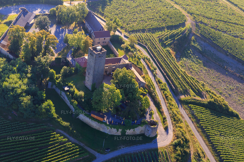 Luftbild: Burg Ravensburg (Sulzfeld) am Morgen auf einem Hügel mit Weinbergen in Sulzfeld im Bundesland Baden-Württemberg in Deutschland. Foto: IMG_093888.jpg vom 23.08.2016 durch Werner Riehm/FLY-FOTO.deBurg Ravensburg