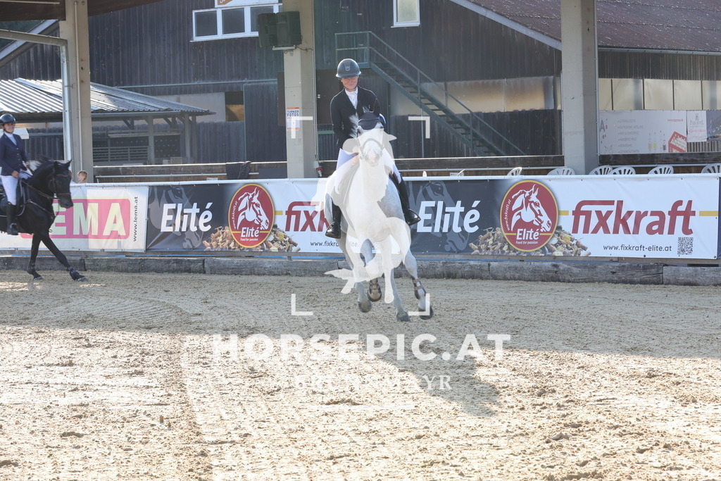 0P6A8373 | Willkommen bei Brunnmayr - Design & Fotografie – Ihrem Spezialisten für Reitturniere und Pferdeveranstaltungen in Oberösterreich, Salzburg und Bayern! Seit über 17 Jahren sind wir leidenschaftlich dabei.