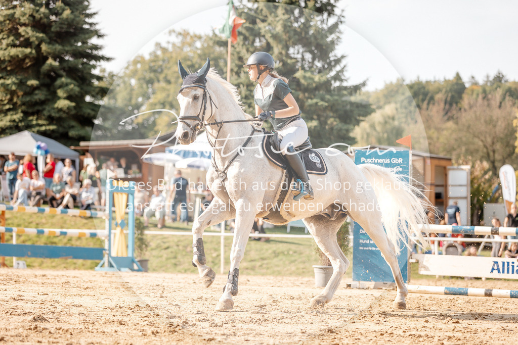 3I6A5031 | Stimmungsvolle Portraits und Reitsportfotografie im Ruhrgebiet und im Münsterland.

Pferdefotografie, Hundefotografie, Tierfotografie, Reportagen, Portraits von Tier und Mensch, Turnierfotografie in Bochum, Recklinghausen, Marl, Haltern am See, Dülmen.. - Realisiert mit Pictrs.com