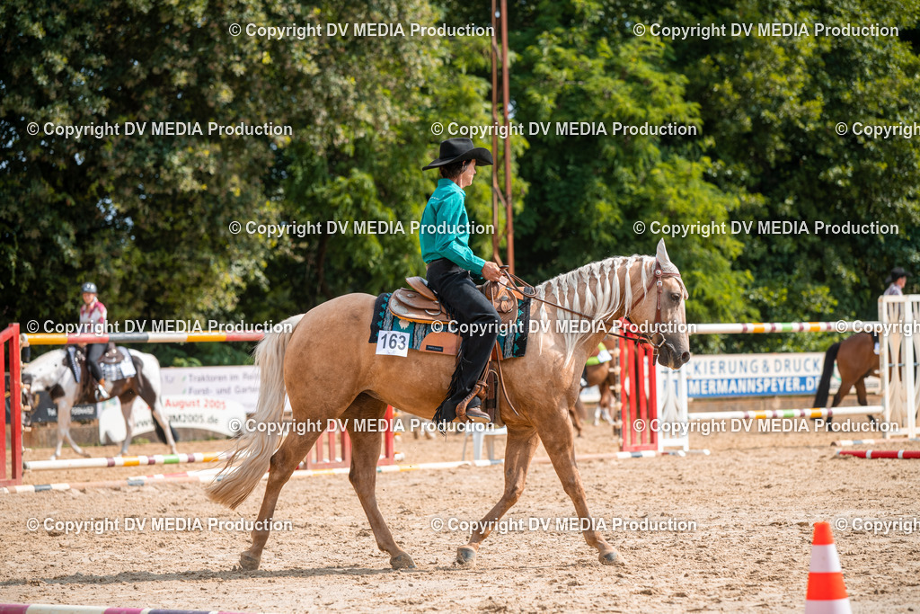 ZS2_7679 | dv-media-shop - Realisiert mit Pictrs.com